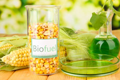 Cilfynydd biofuel availability