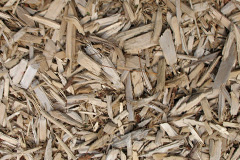 biomass boilers Cilfynydd